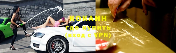 дживик Липки