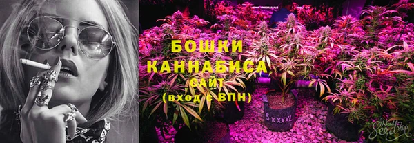дживик Липки