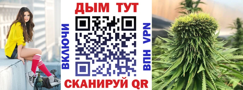 Каннабис VHQ Купить Никольское